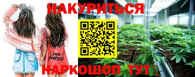 PSILOCYBIN Тула