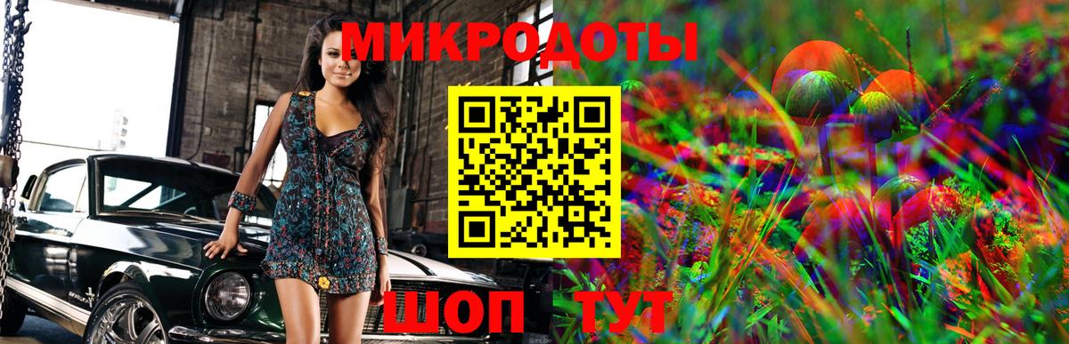Галлюциногенные грибы Psilocybe Острогожск