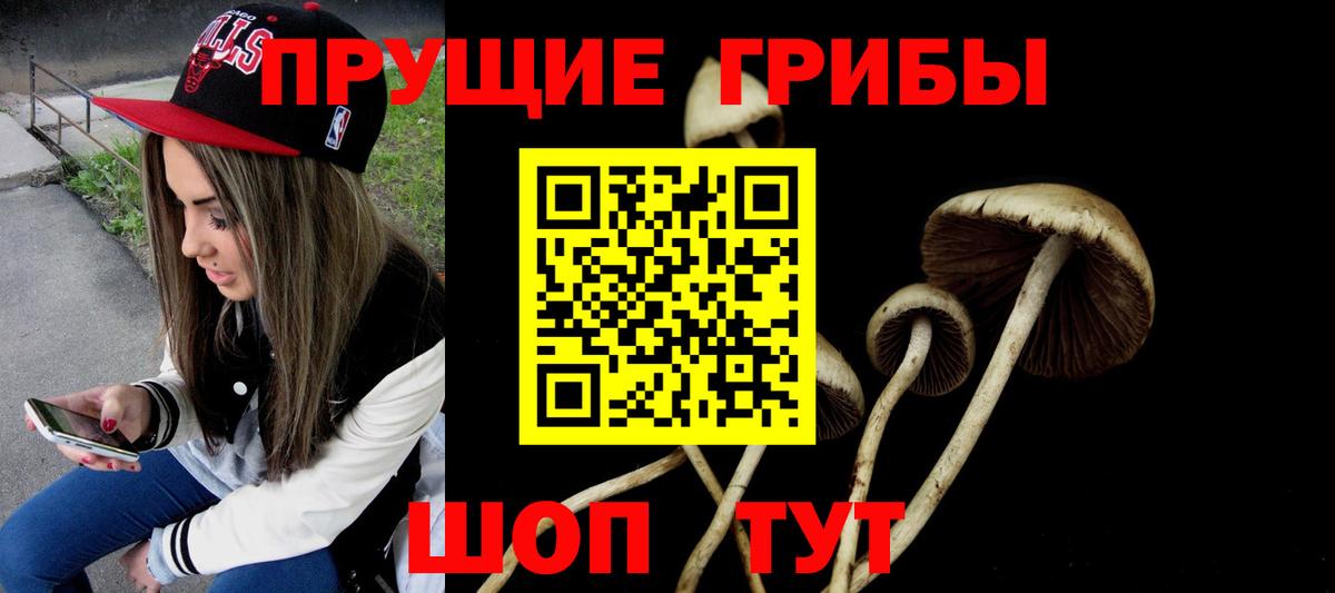 Псилоцибиновые грибы GOLDEN TEACHER  Вход с VPN  Острогожск 